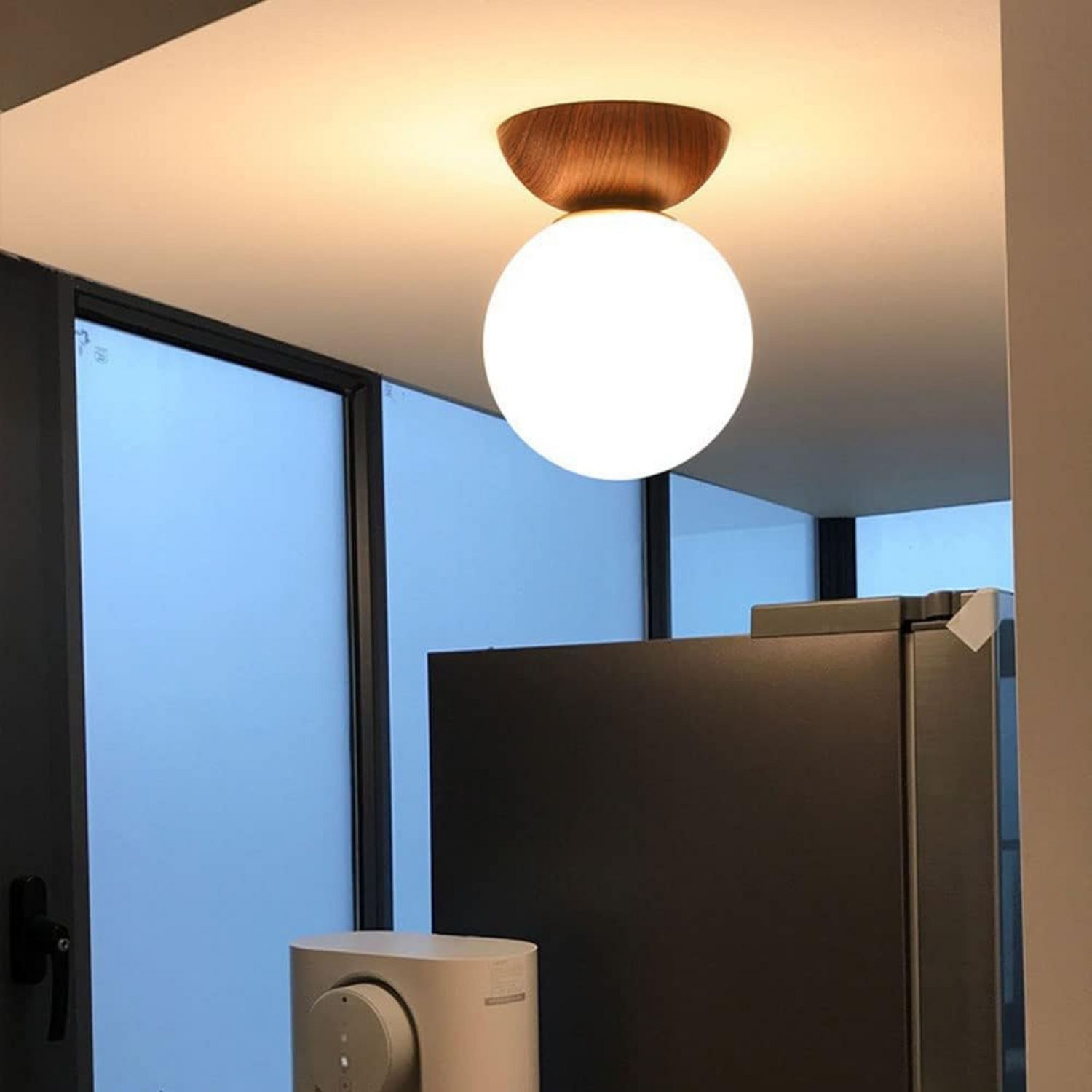Ceiling Lamps